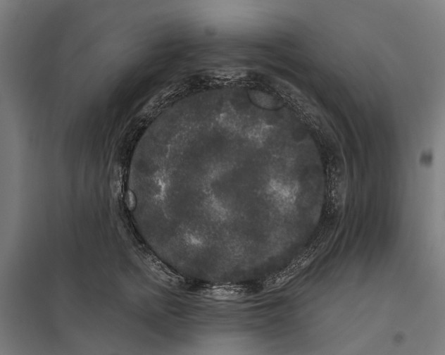 X0000097850758200803281248