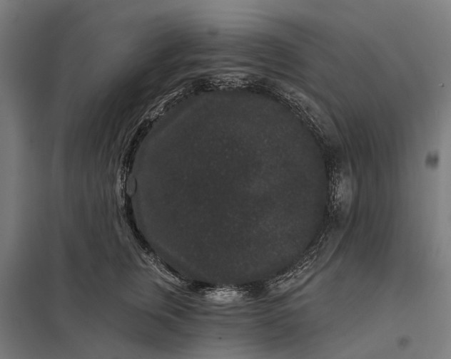 X0000097850759200803281248