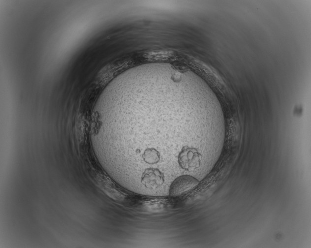 X0000097850761200803281248