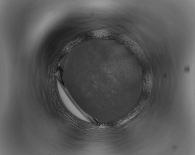 X0000097850762200803281248