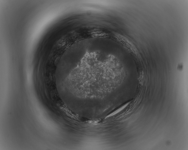 X0000097850763200803281248