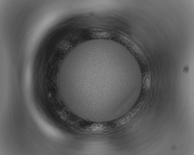 X0000097850764200803281248