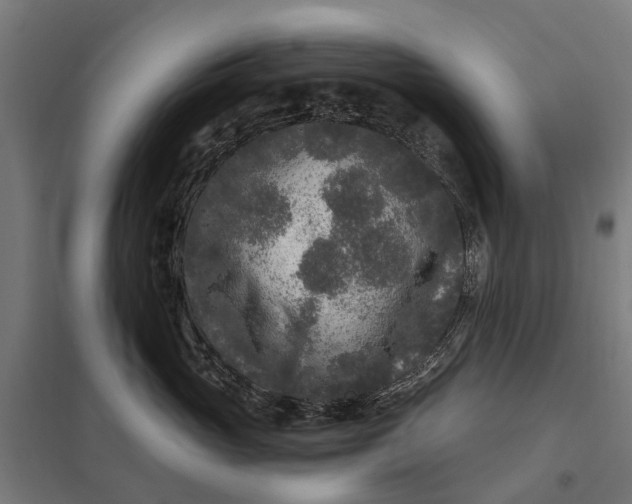 X0000097850765200803281248