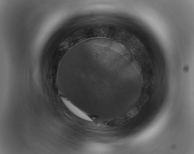 X0000097850766200803281248