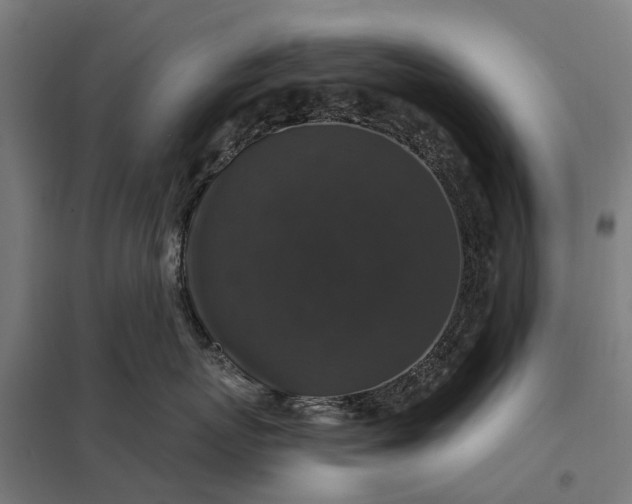 X0000097850767200803281248