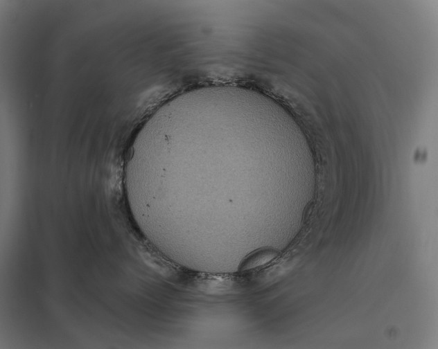 X0000097850768200803281248