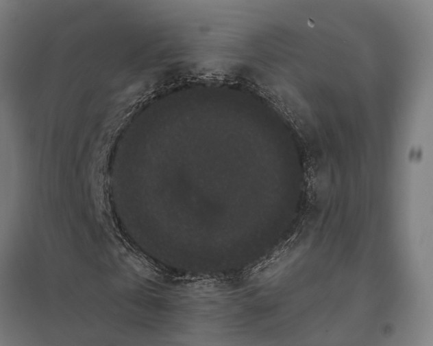 X0000097850769200803281247