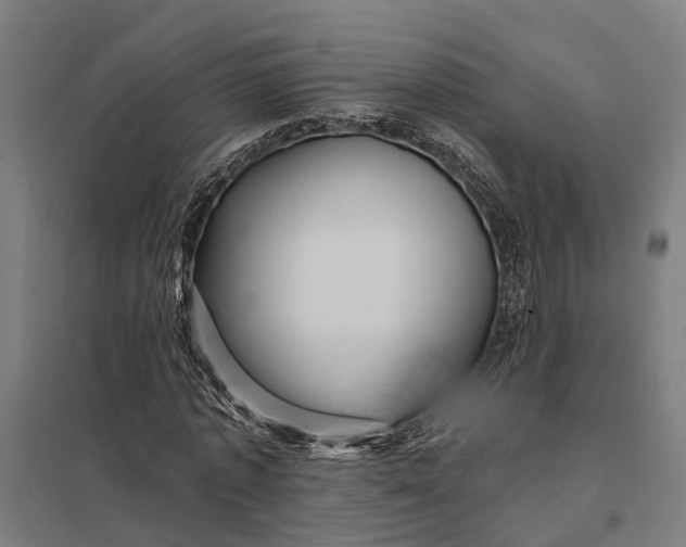 X0000097850773200803281247