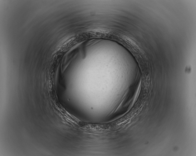 X0000097850774200803281247