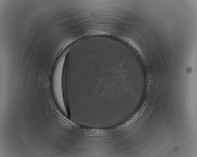 X0000097850777200803281247