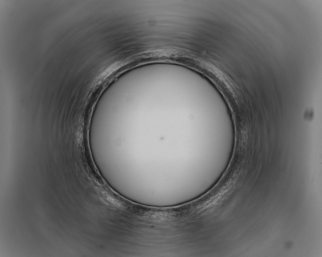 X0000097850778200803281247