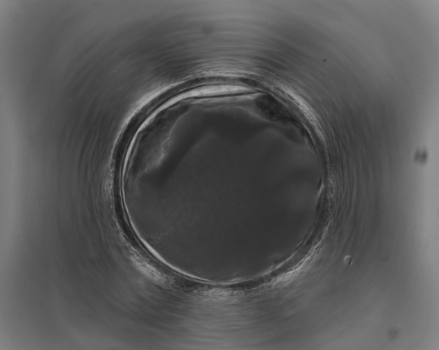 X0000097850779200803281247