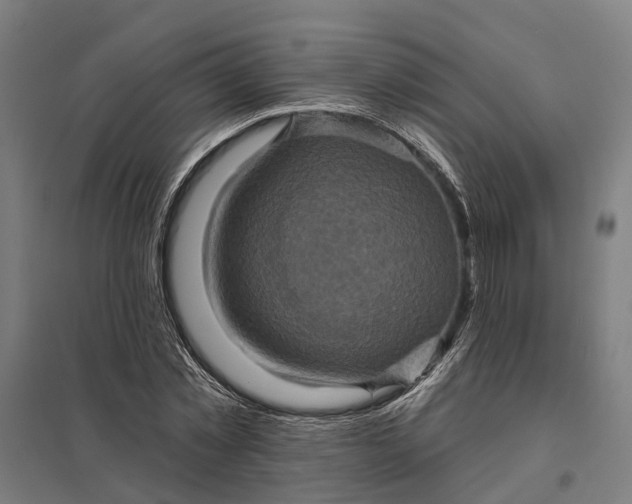 X0000097850781200803281247