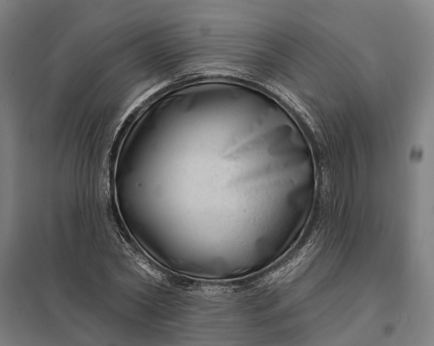 X0000097850782200803281247