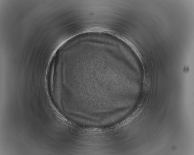 X0000097850783200803281247