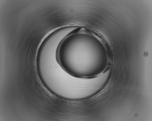 X0000097850784200803281247