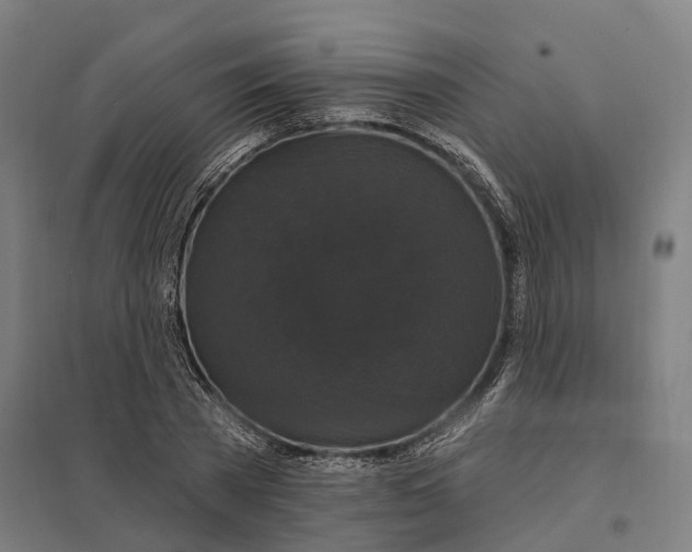 X0000097850785200803281247