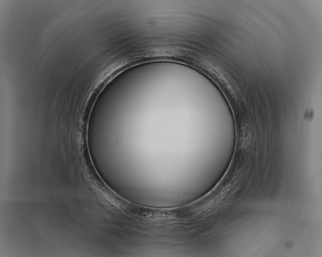 X0000097850786200803281247