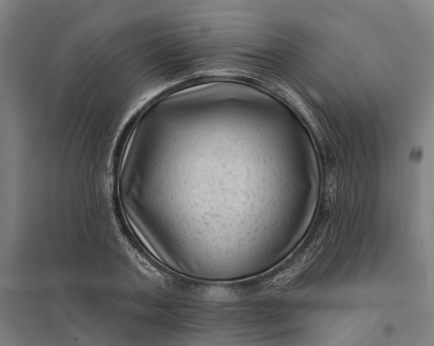 X0000097850787200803281247