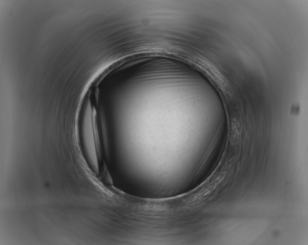 X0000097850788200803281247