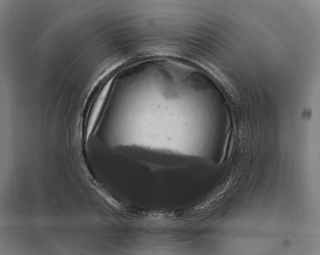 X0000097850790200803281247