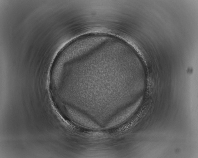 X0000097850791200803281247