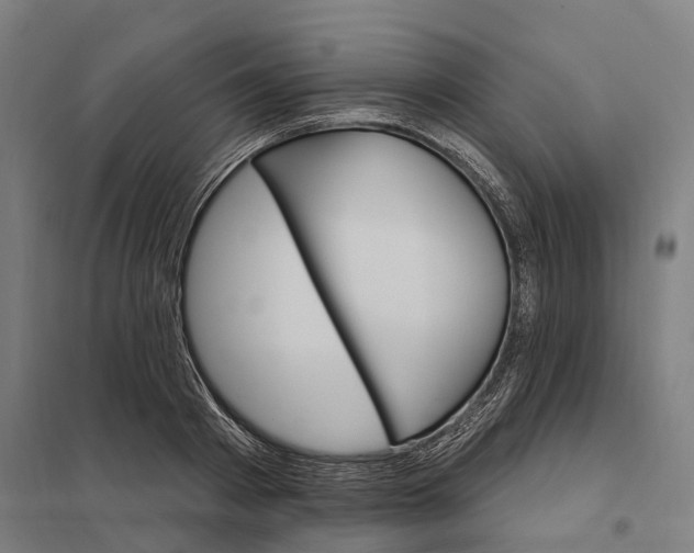 X0000097850793200803281247