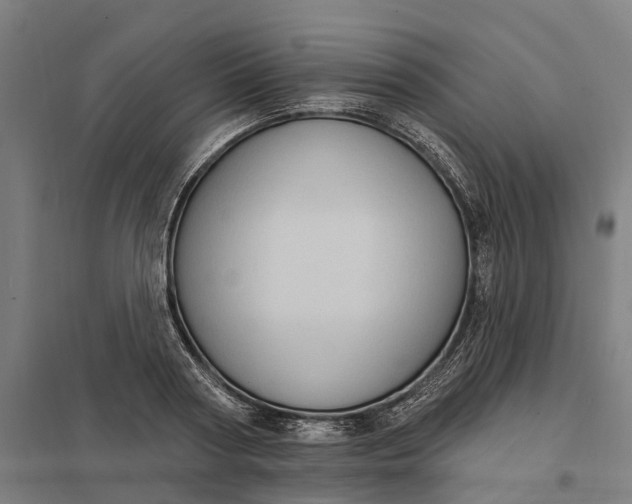 X0000097850794200803281247