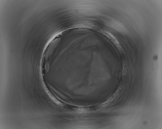 X0000097850796200803281247