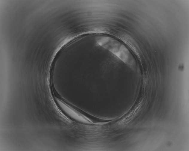 X0000097850797200803281247