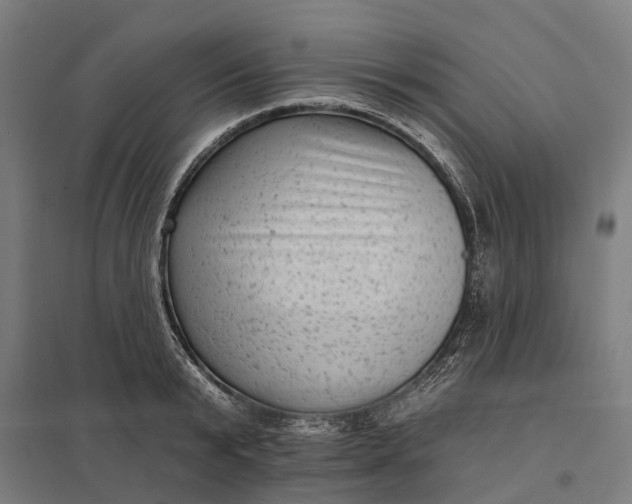 X0000097850799200803281247