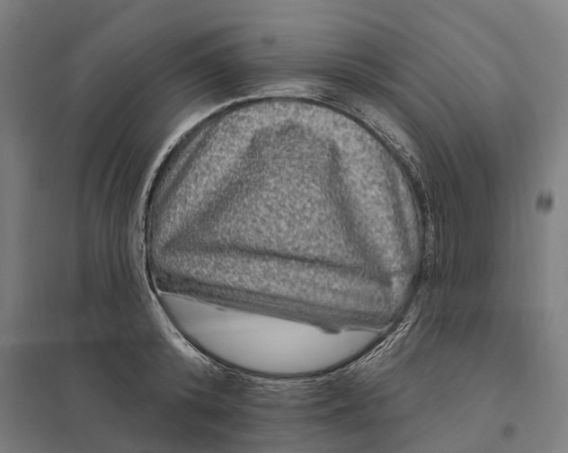 X0000097850800200803281247