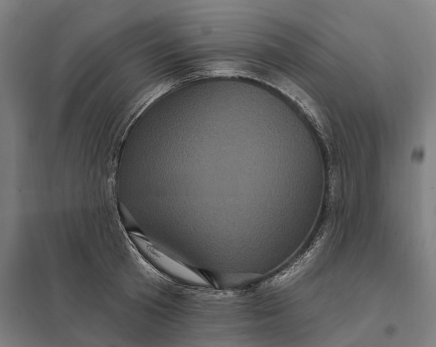 X0000097850801200803281247