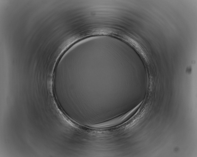 X0000097850802200803281247