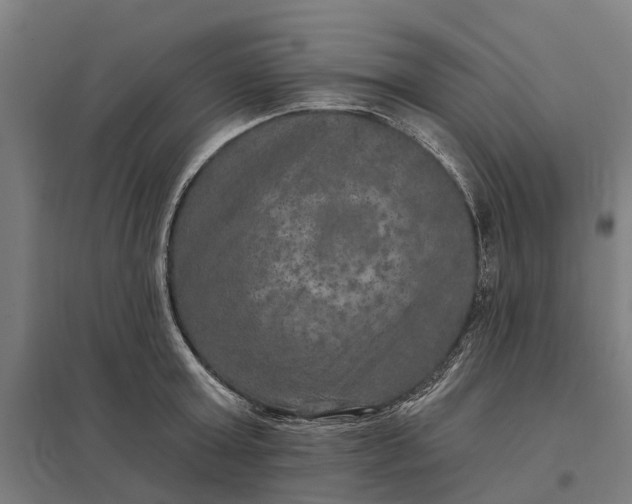 X0000097850803200803281247