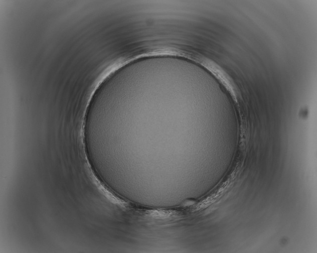 X0000097850805200803281247