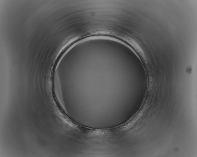 X0000097850806200803281247