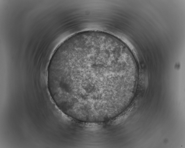 X0000097850807200803281247