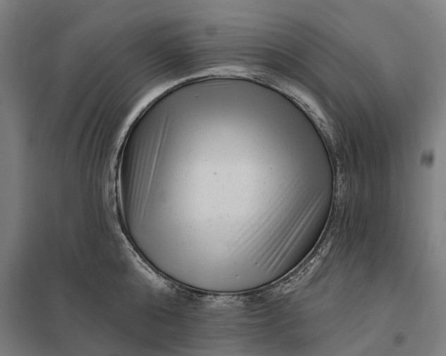 X0000097850808200803281247