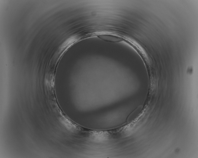 X0000097850809200803281247