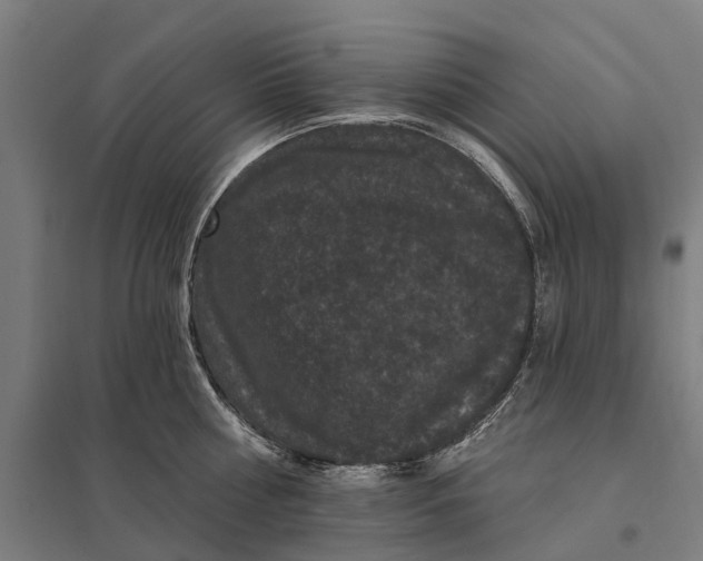 X0000097850810200803281247