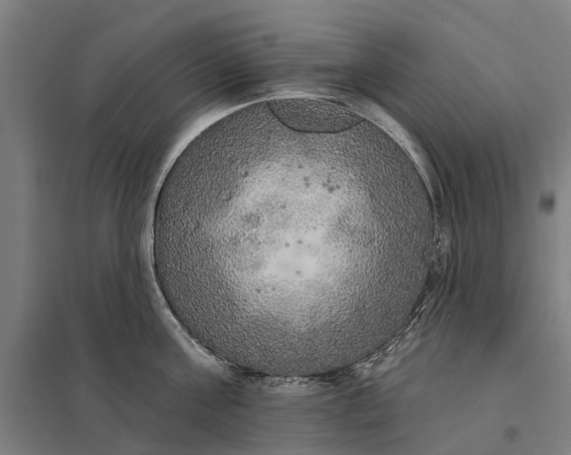 X0000097850811200803281247