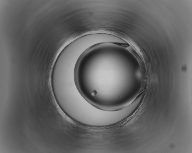 X0000097850813200803281247