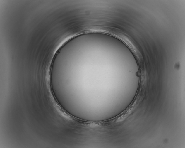 X0000097850814200803281247