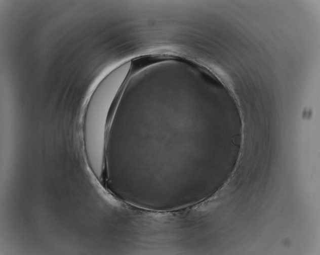 X0000097850816200803281247