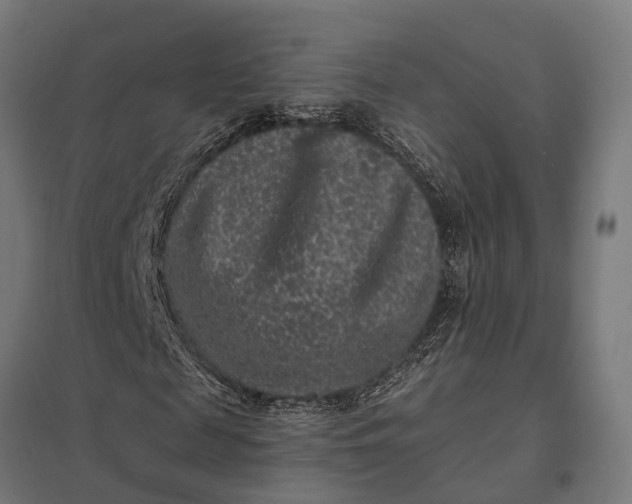 X0000097850817200803281246