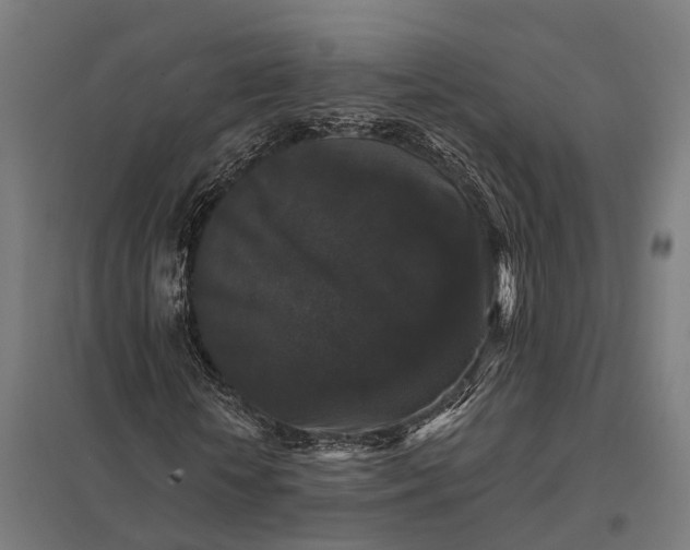 X0000097850818200803281246