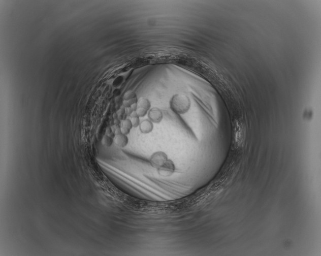 X0000097850819200803281246