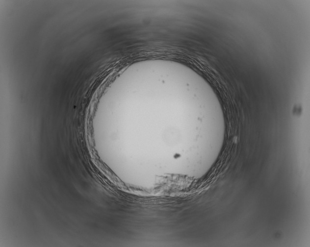 X0000097850820200803281246