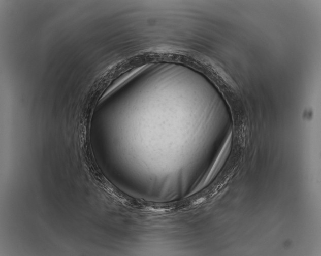 X0000097850821200803281246